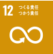 SDG 12