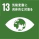 SDG 13