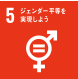 SDG 5