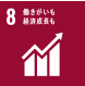 SDG 8