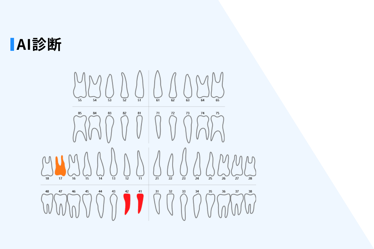 オーラルヘルスレポートのイメージ2